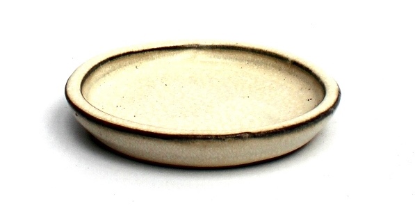 rendelheto mazas bonsai talak a marczika bonsai studio webaruhaz kinalatabol